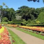 Botanical_Garden_of_Peradeniya_03